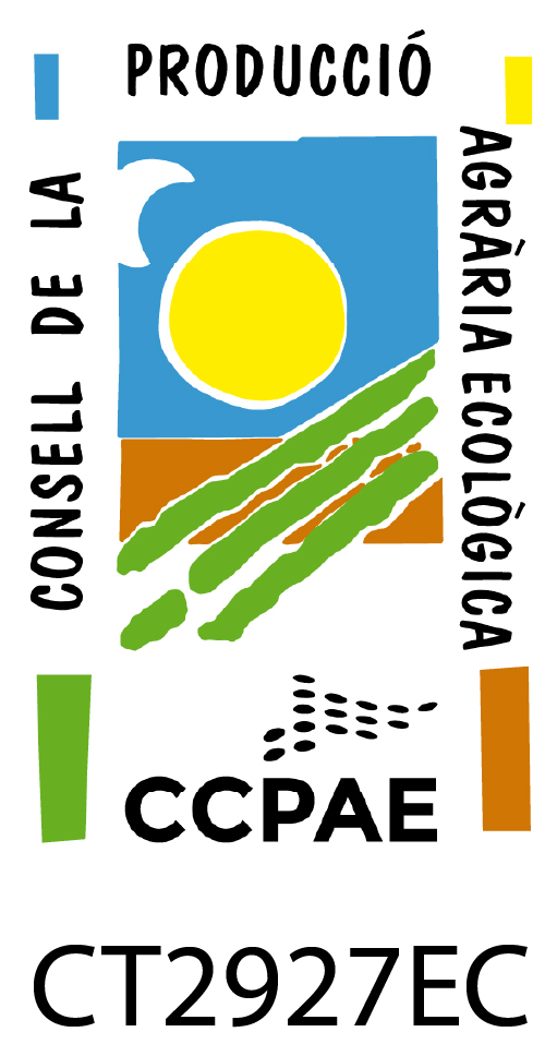 ccpae certificat 1